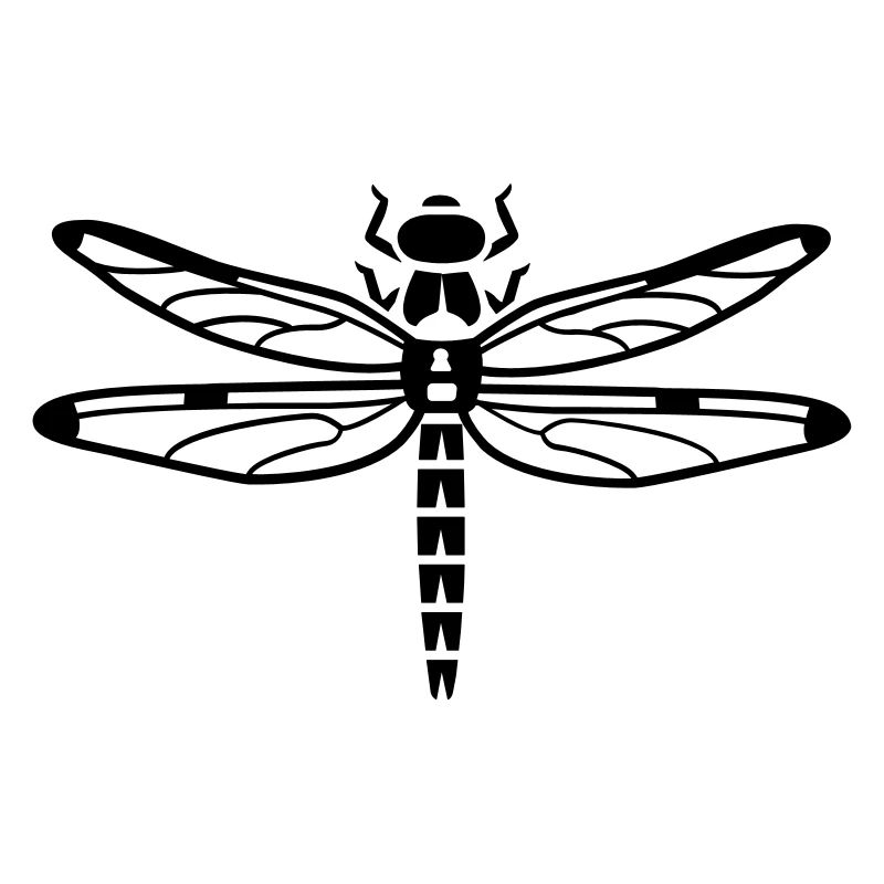 Dragonfly - insectes