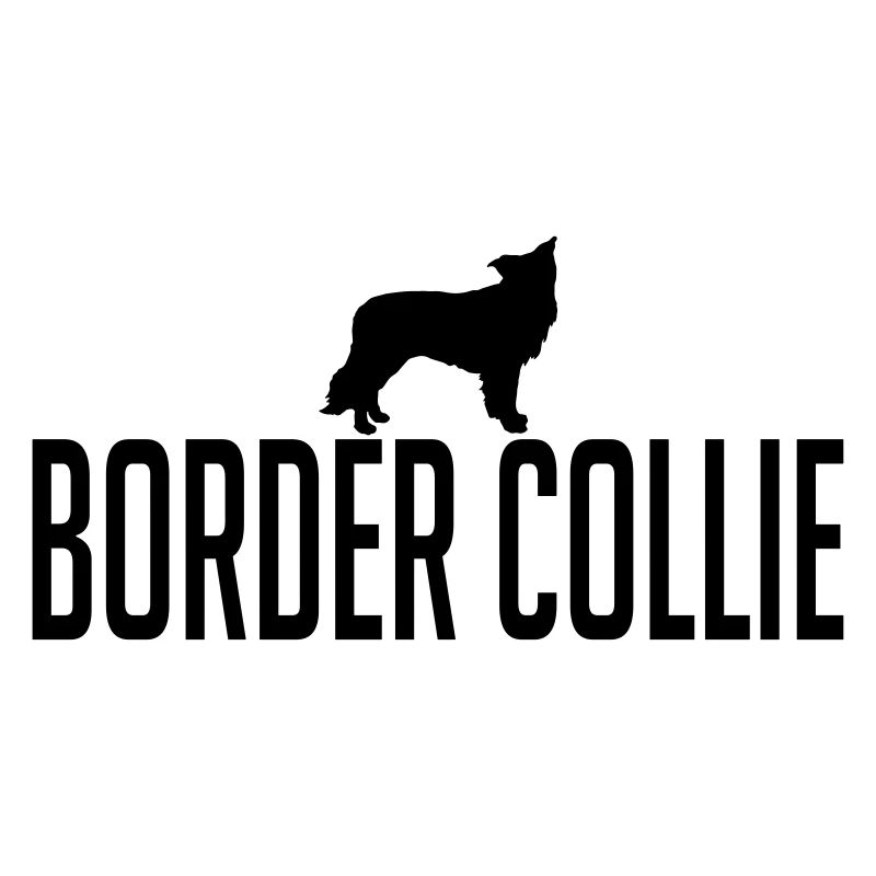 BORDER COLLIE Hunderasse
