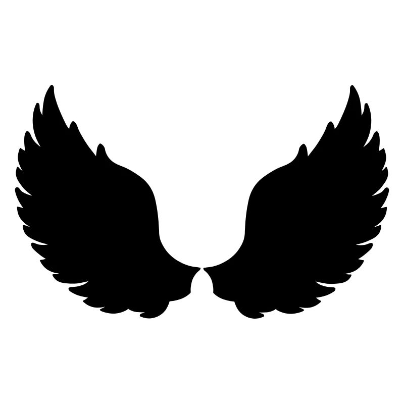 Wings Angel Eagle