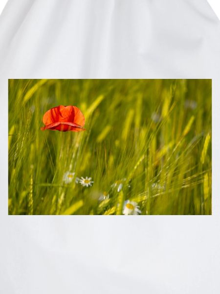 Mohnblume im Kornfeld