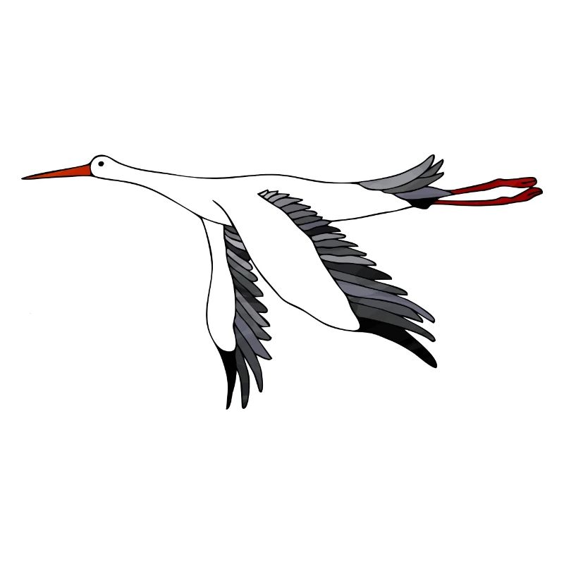 Storch