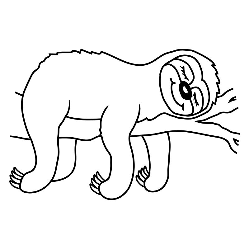 Relaxed tired sloth sleeps