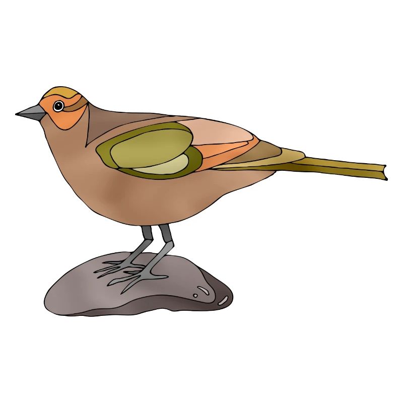 Vogel