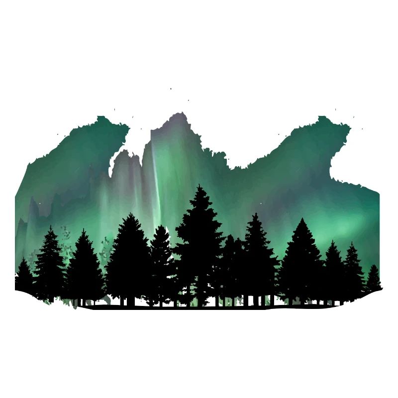 Northern Lights Forest by the Manzanita's