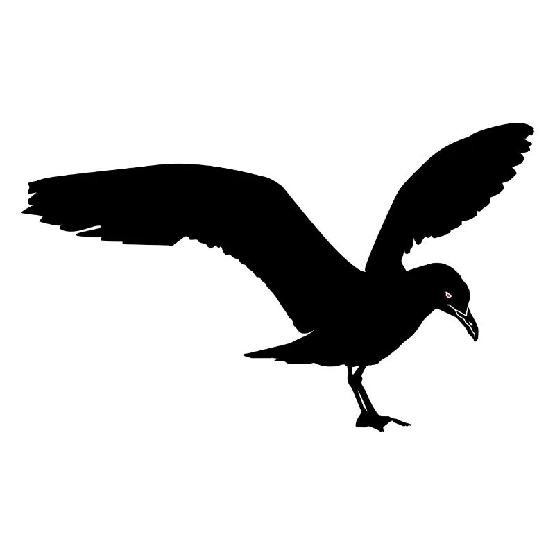 Möwe