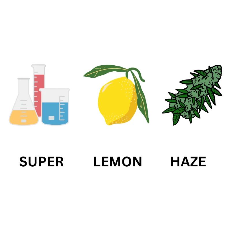 Super Lemon Haze