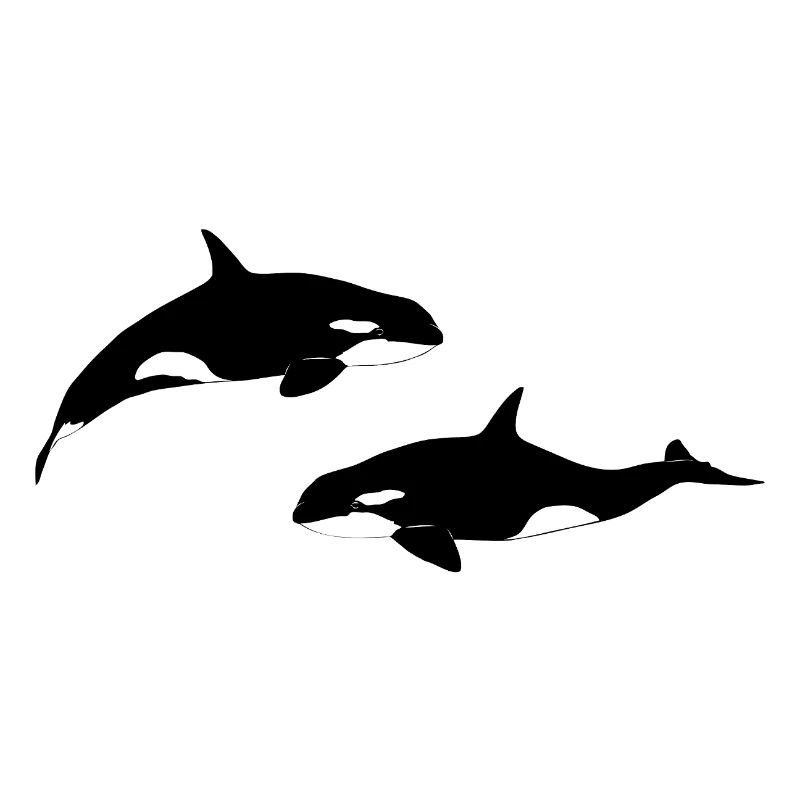 Orca - Wal - Killerwal