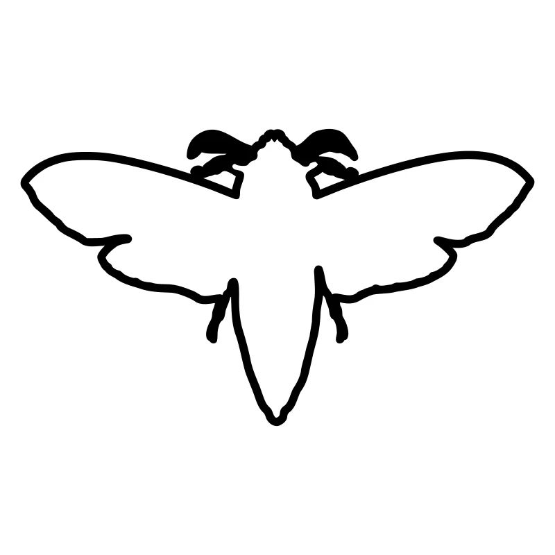 Moth 2
