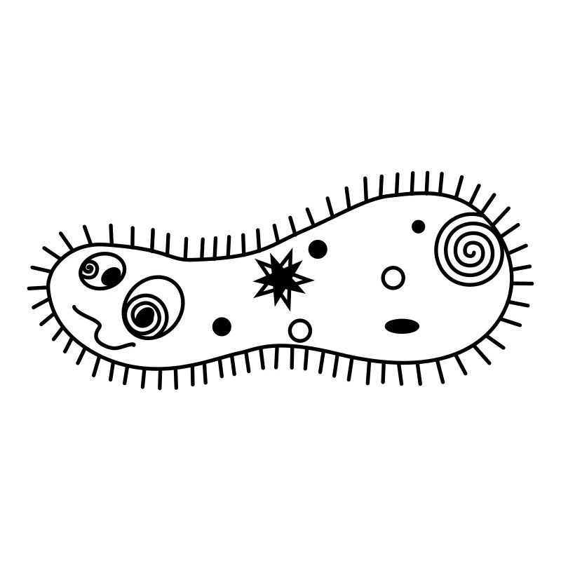 pantoffeltierchen