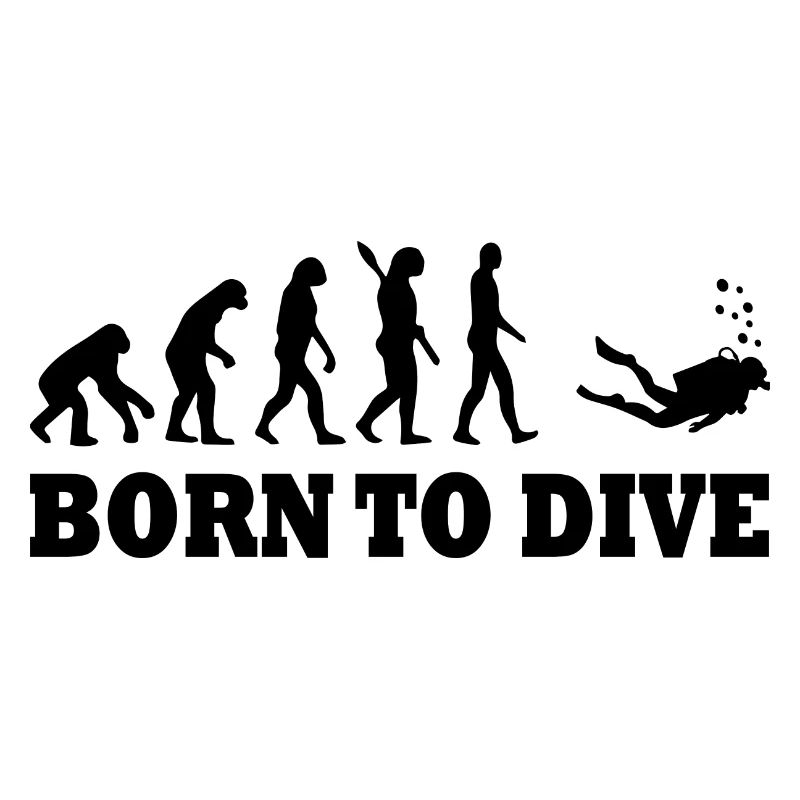 Diving Dive Dive
