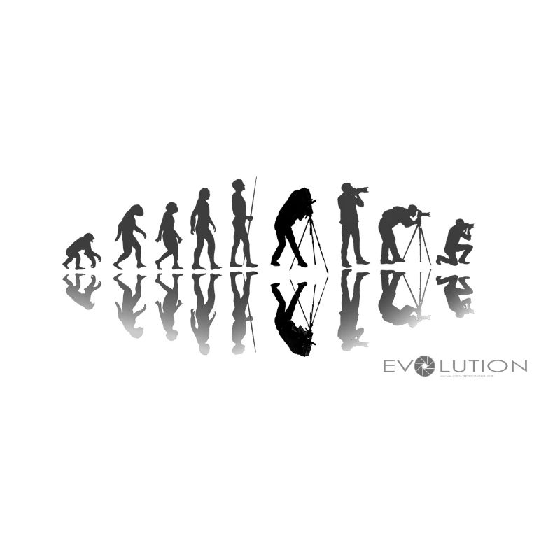 EVOLUTION PHOTOGRAPHE