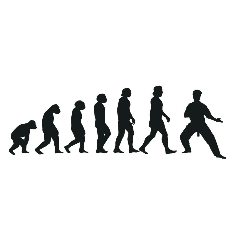 Evolution of Karate
