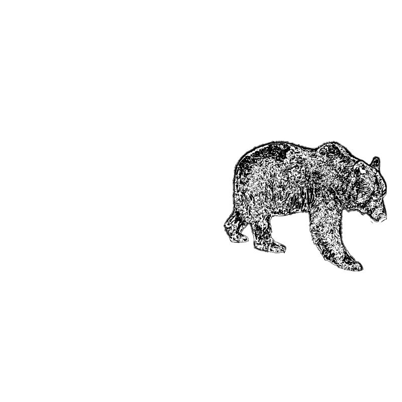 Bär