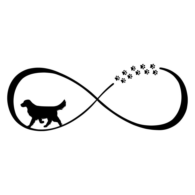 Infinity Loop Golden Retriever, infinite loop