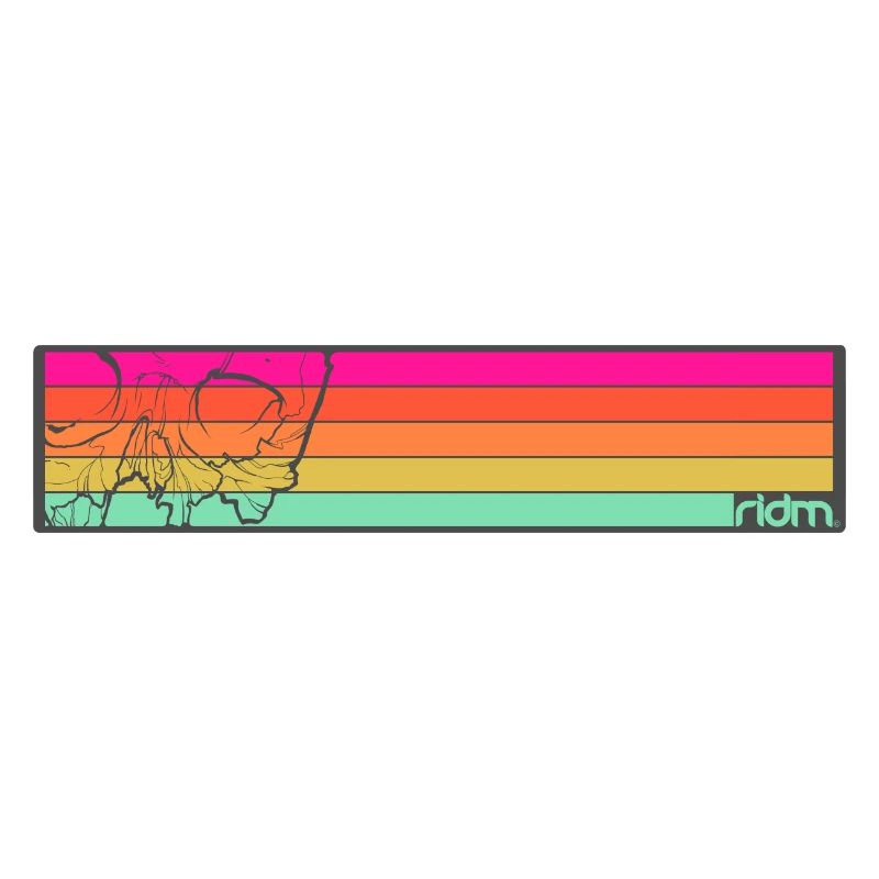 ridm skull stripes