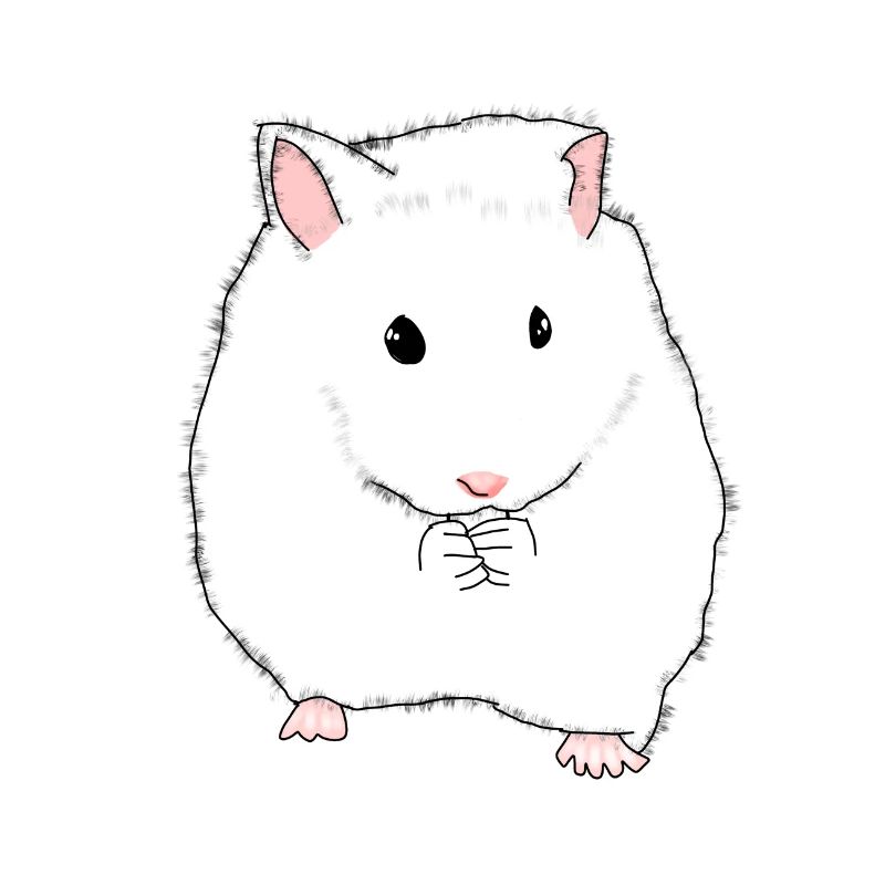 Hamsters eat animals