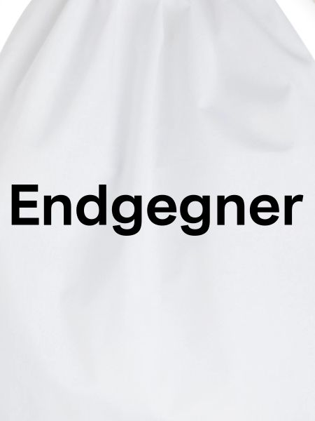Endgegner