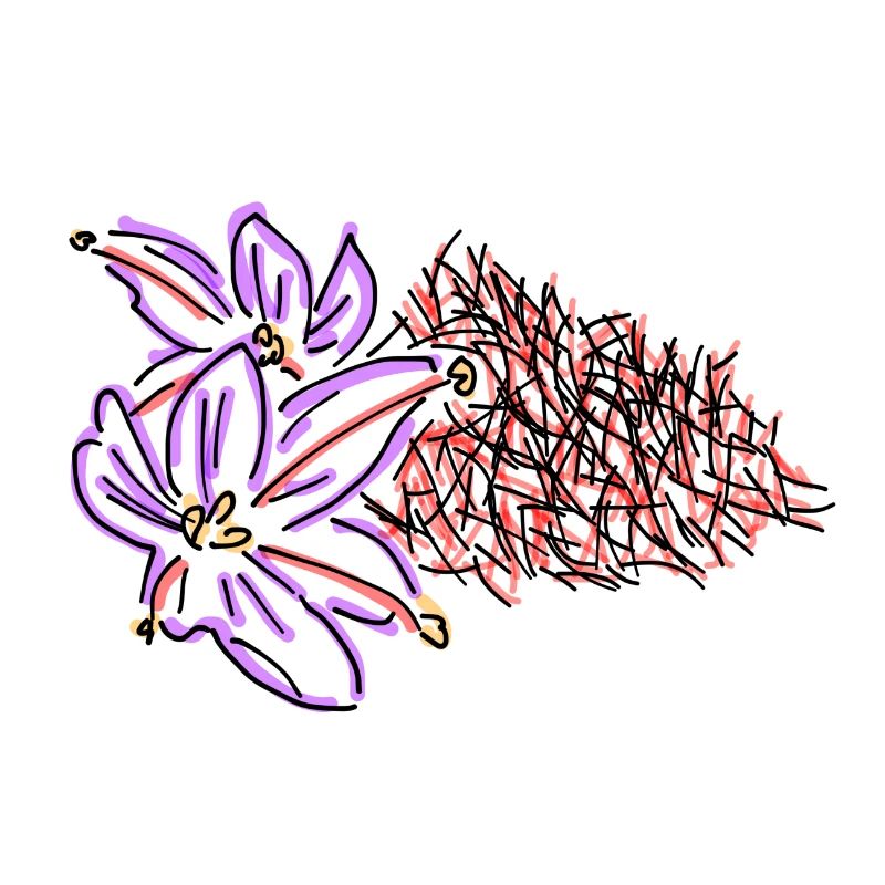 saffron
