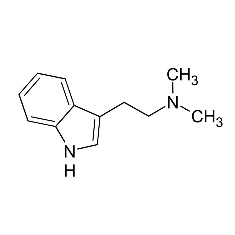 DMT Molekül