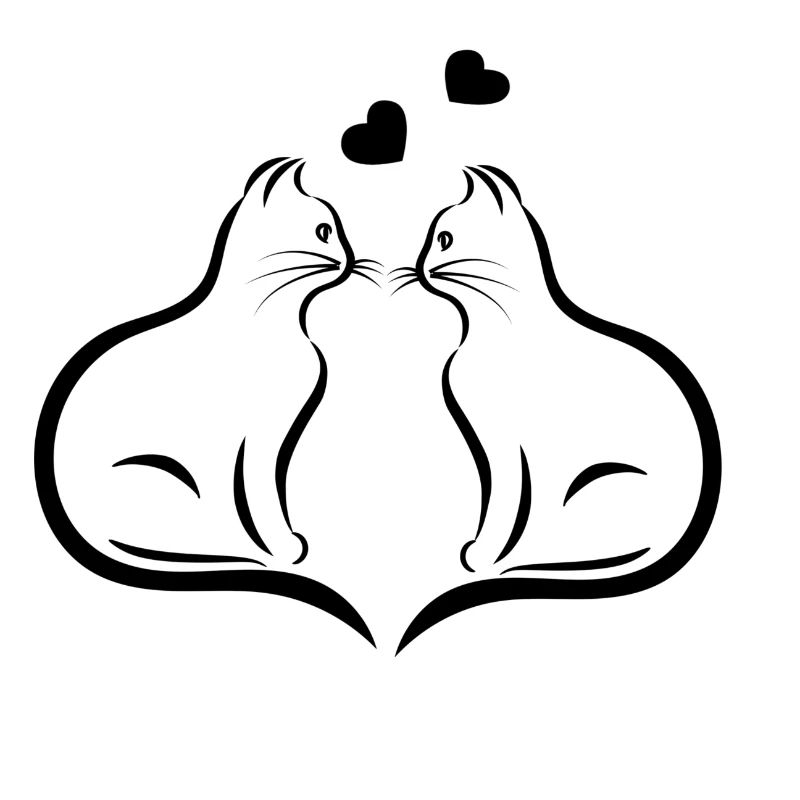 Zwei Katzen