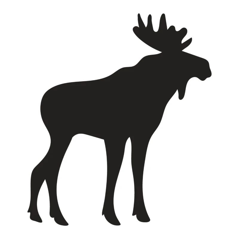 Moose
