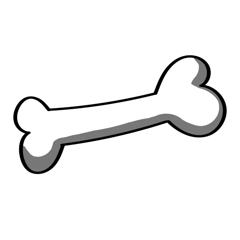 Knochen