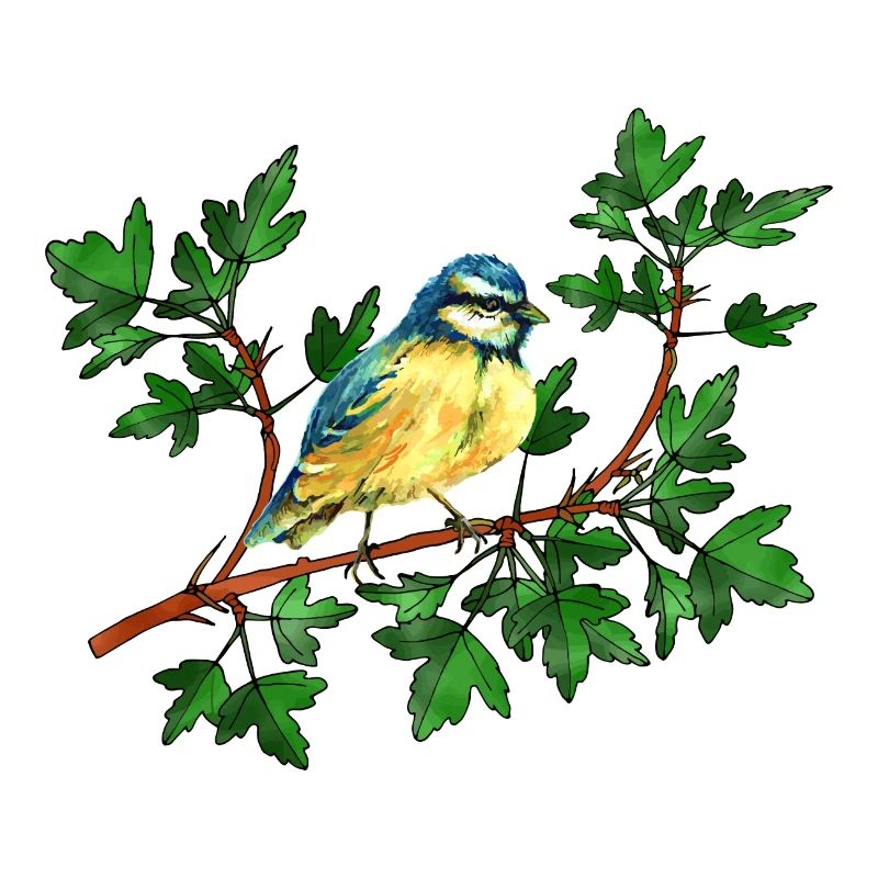 Sikorka Vogel