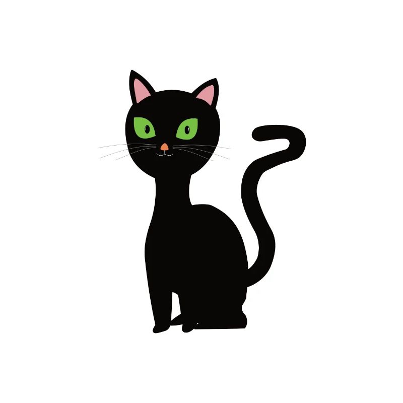 Chat noir