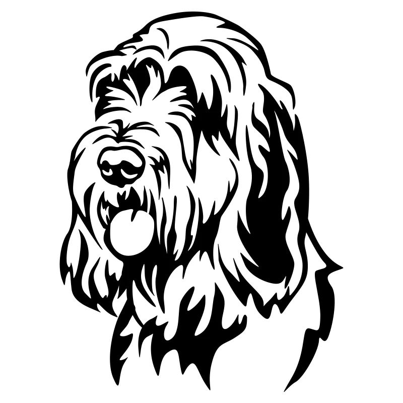 Spinone Italiano Head
