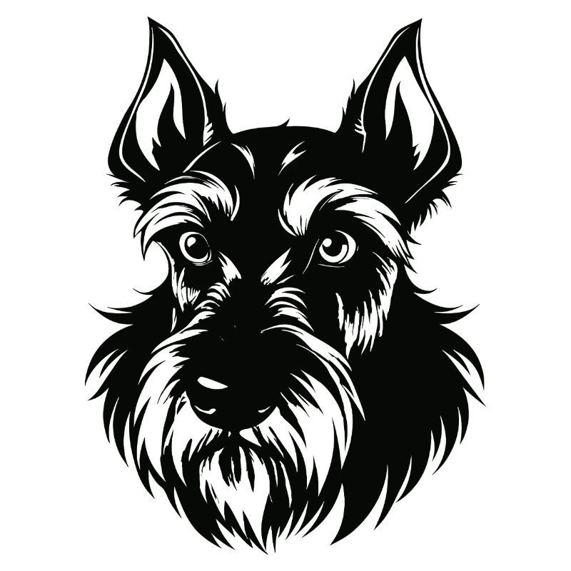 Giant Schnauzer