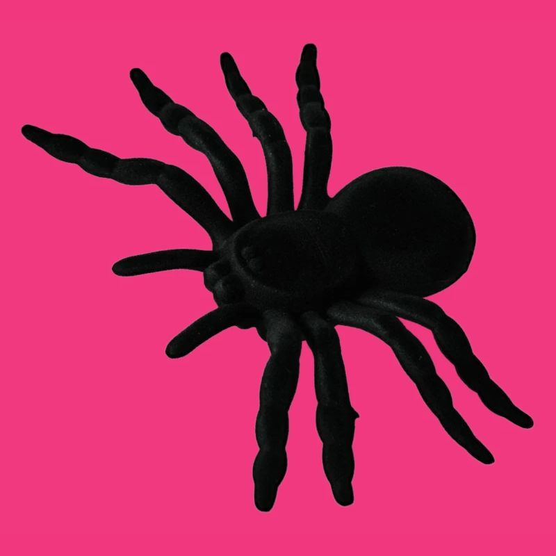 Spider Web, Spider Web, Spider Phobia, Disgusting Gift