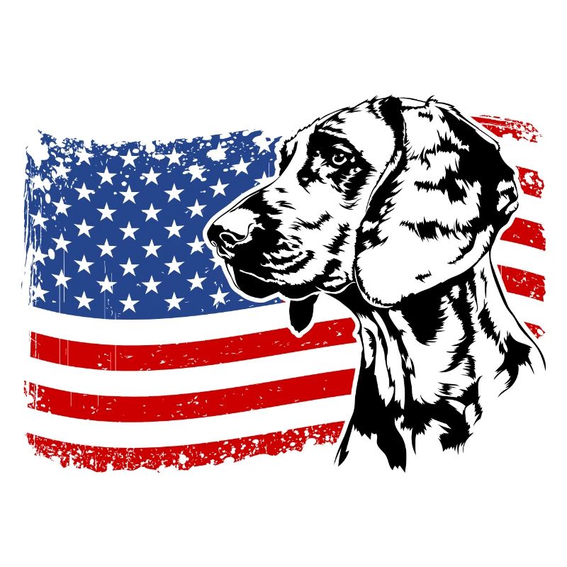 Chien de chasse à l’odeur hanovrienne Chiens de drapeau de l’Amérique