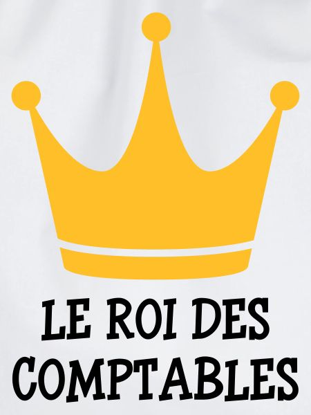 Accountant / Accounting / Comptable / Comptabilité