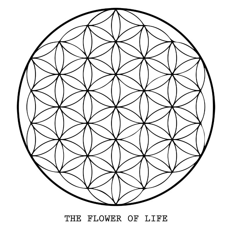 Die Blume des Lebens