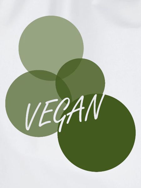Vegan Speise Bio
