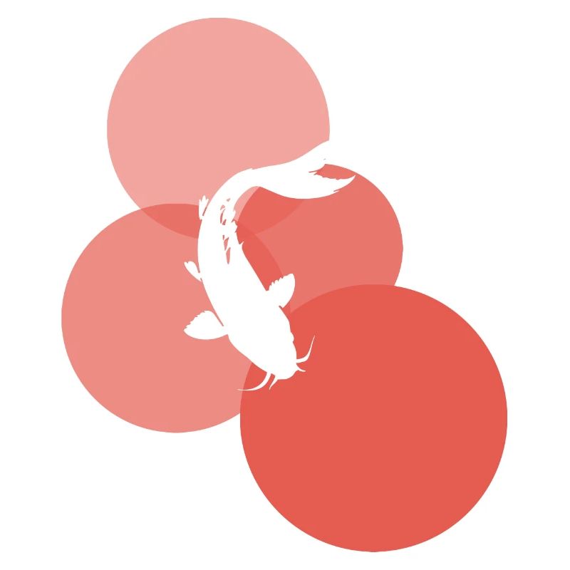 Koi Fish