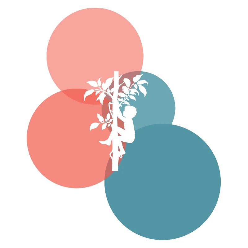 Climbing Crampons Tree climbing