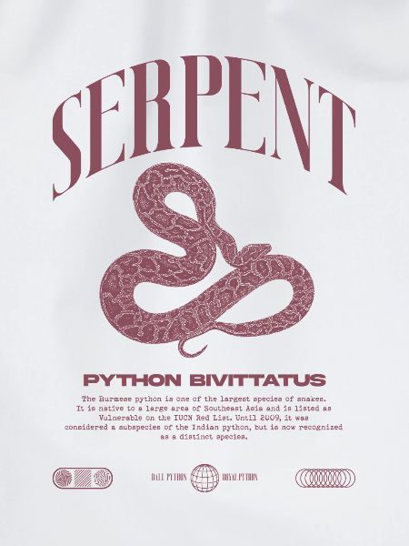 Burmesische Python Moderne Reptilienhalter Streetwear
