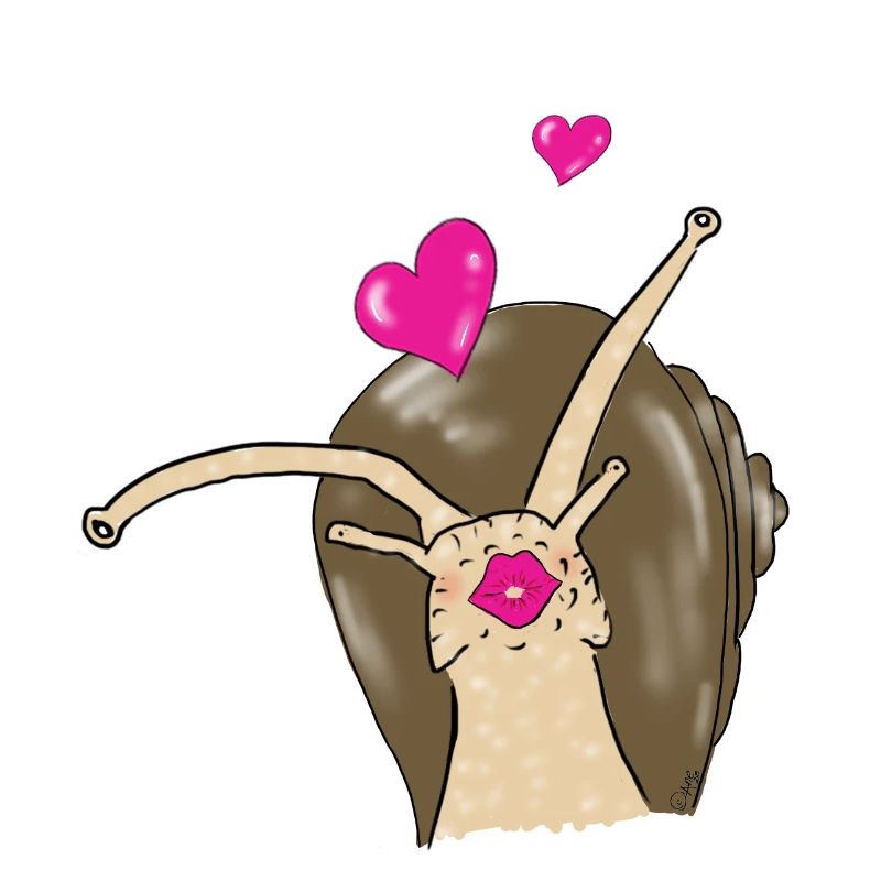snail