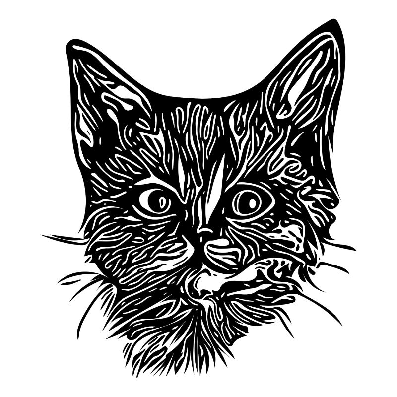 Chaton mignon et mignon