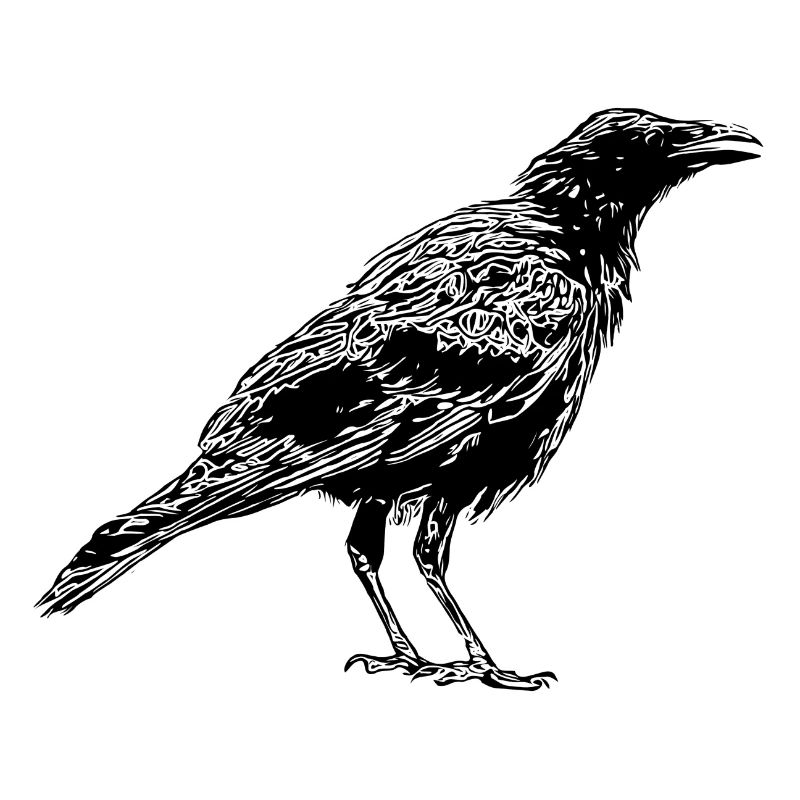 Crow