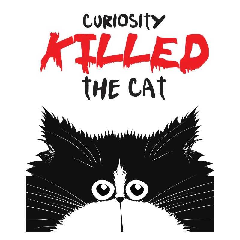 Curious cat