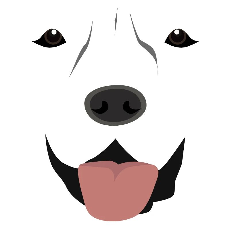 (Labrador Face)