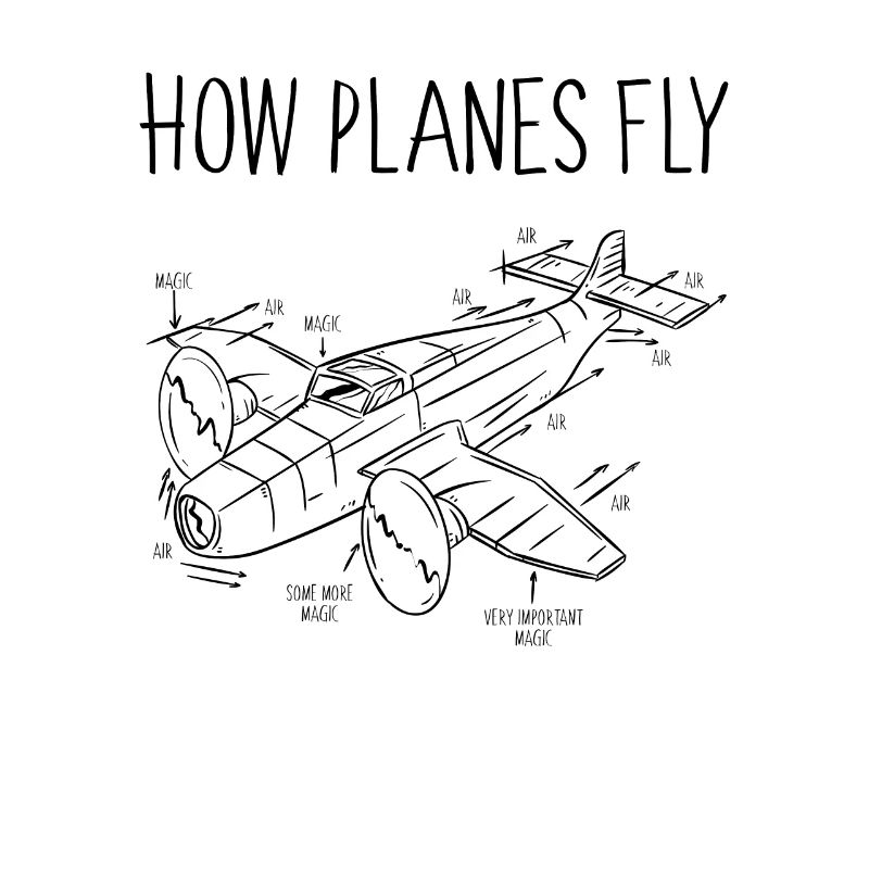How planes fly