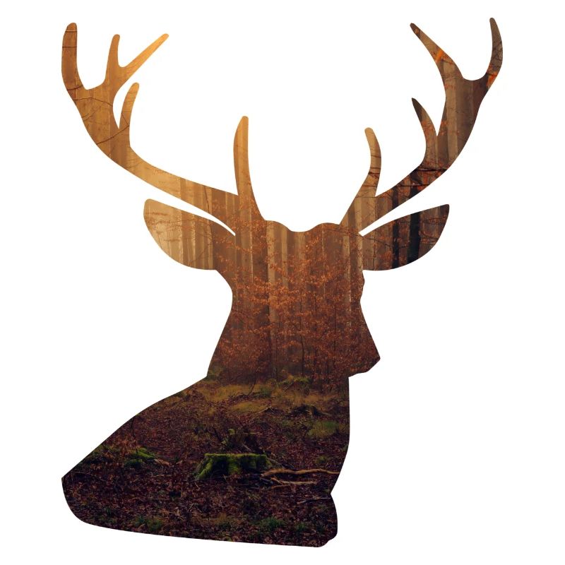 Hirsch Design