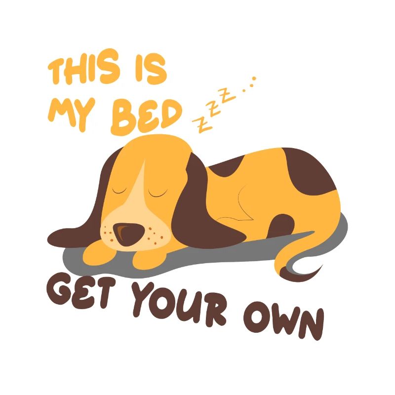C'est mon lit! Idée cadeau chien