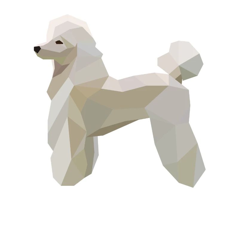 Pudel