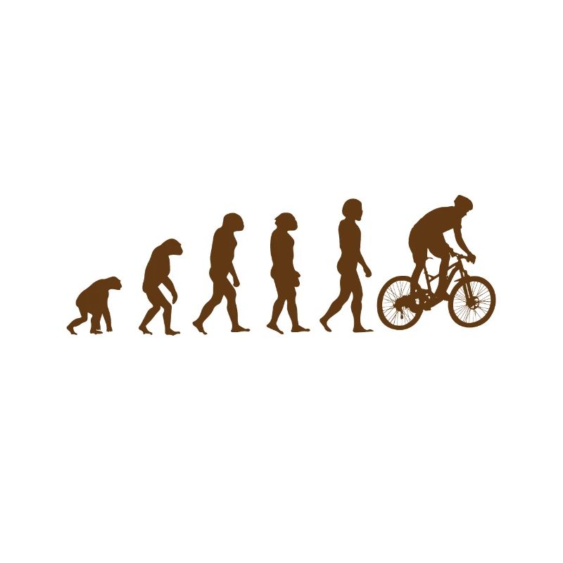 Fahrrad