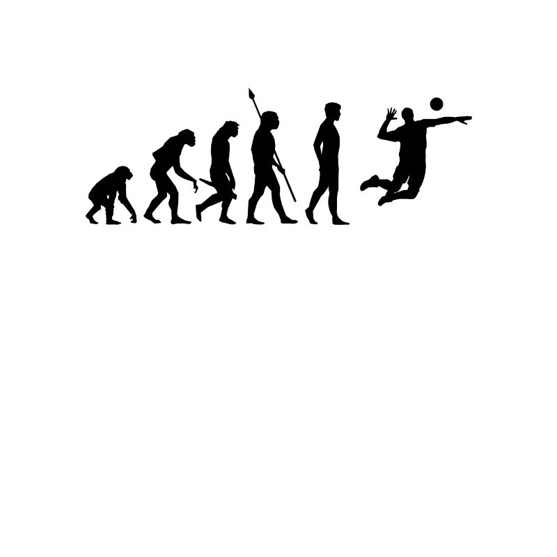 Evolution volleyball