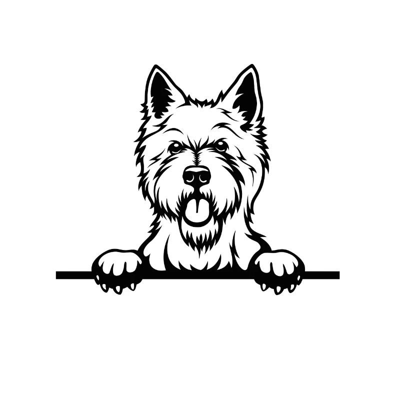 West Highland White Terrier